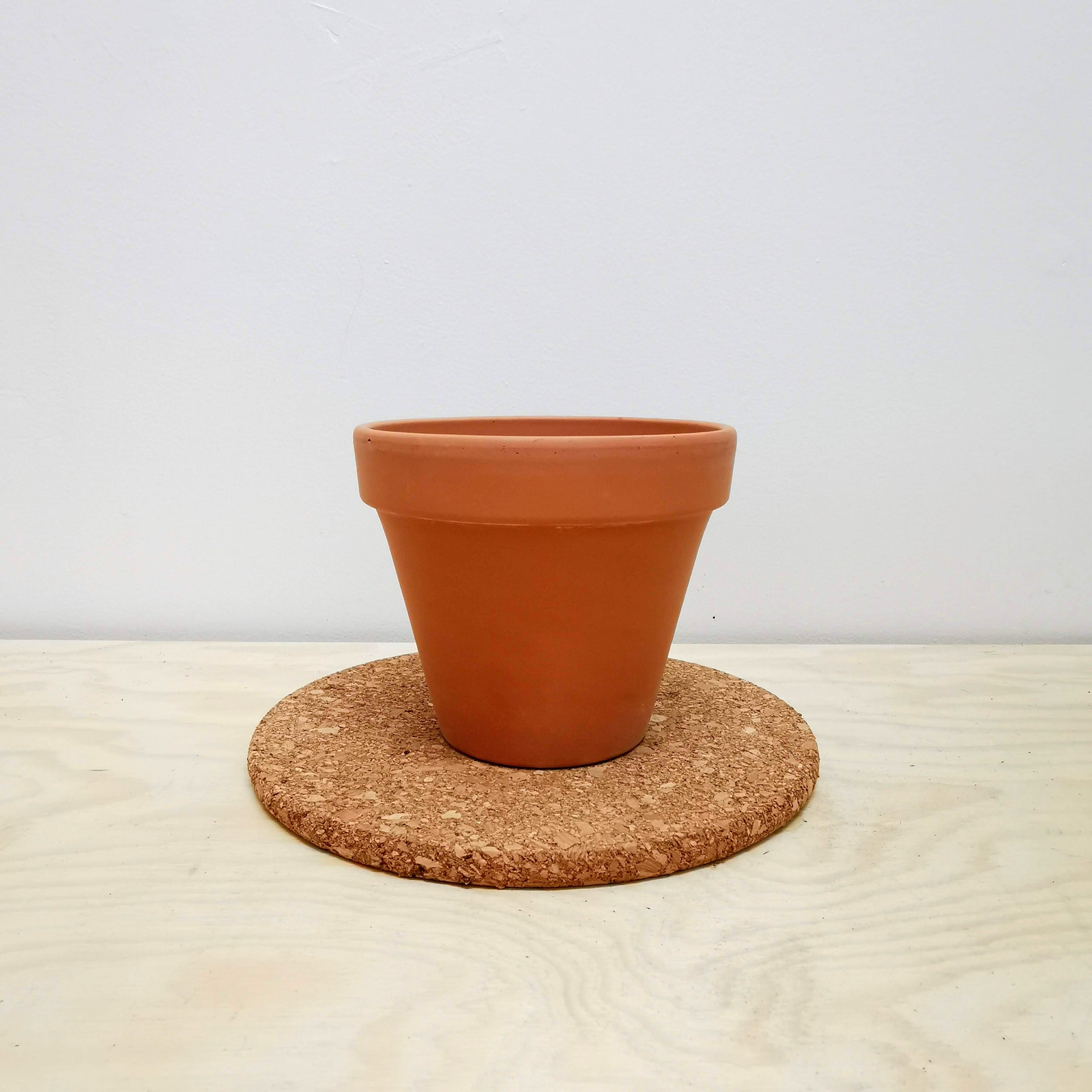 Plant Pot 11cm (Terracotta) Glasgow PlantMama