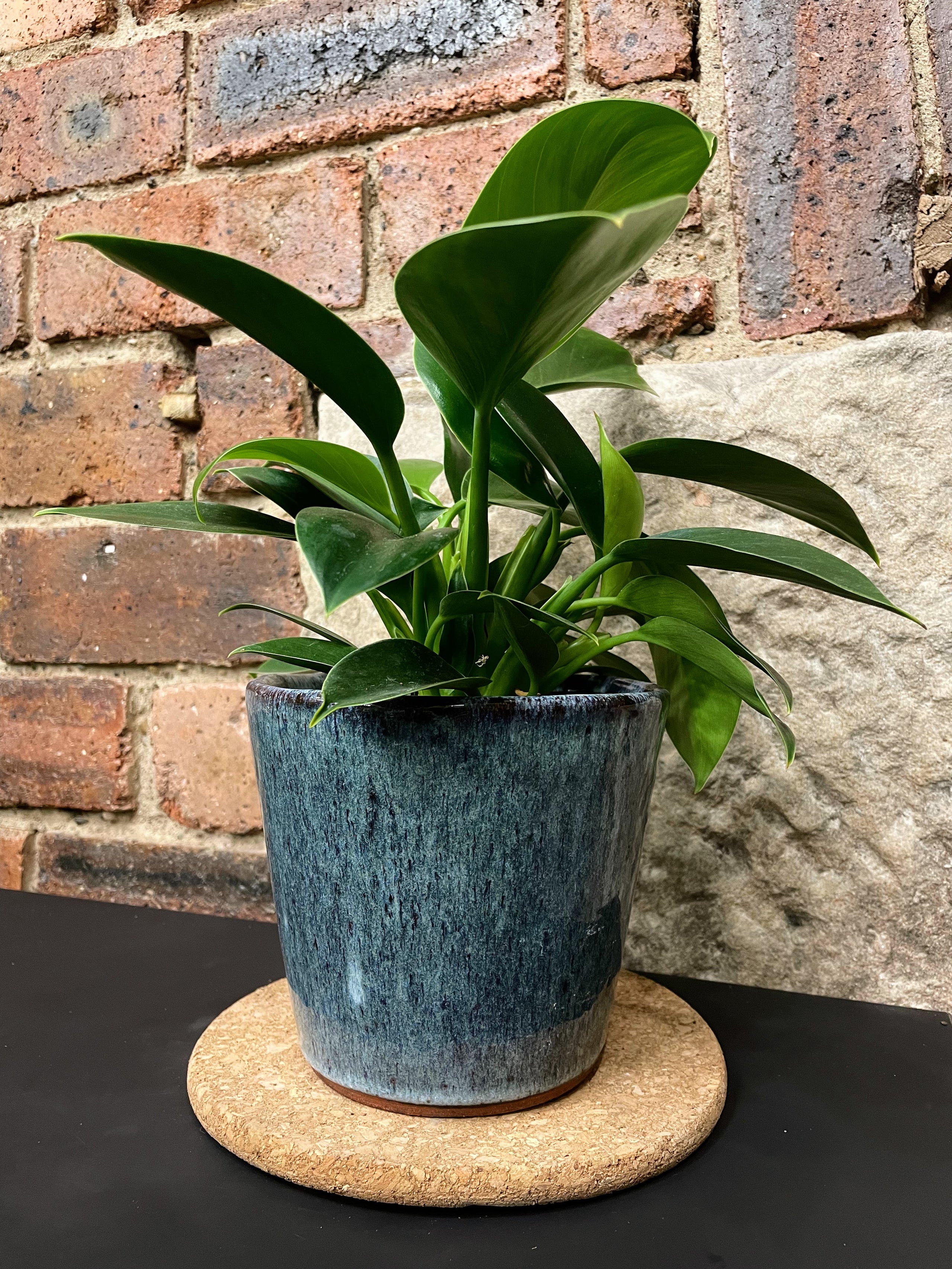 Plant Pot 12cm (Glazed Blue) Glasgow PlantMama